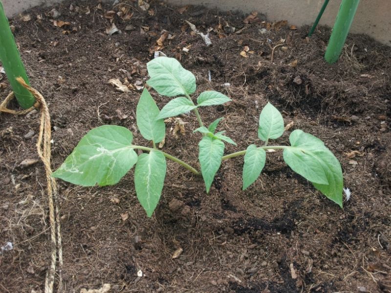  photo 6858e2a3-378b-471e-af8e-032631ff73cb.jpg